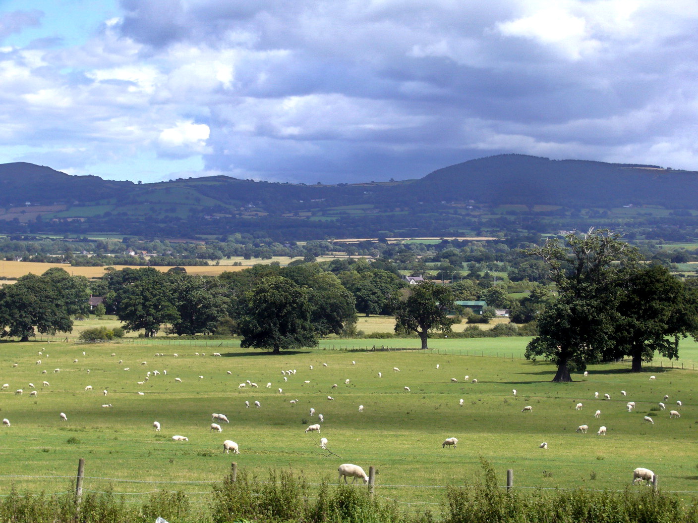 Bodelwyddan